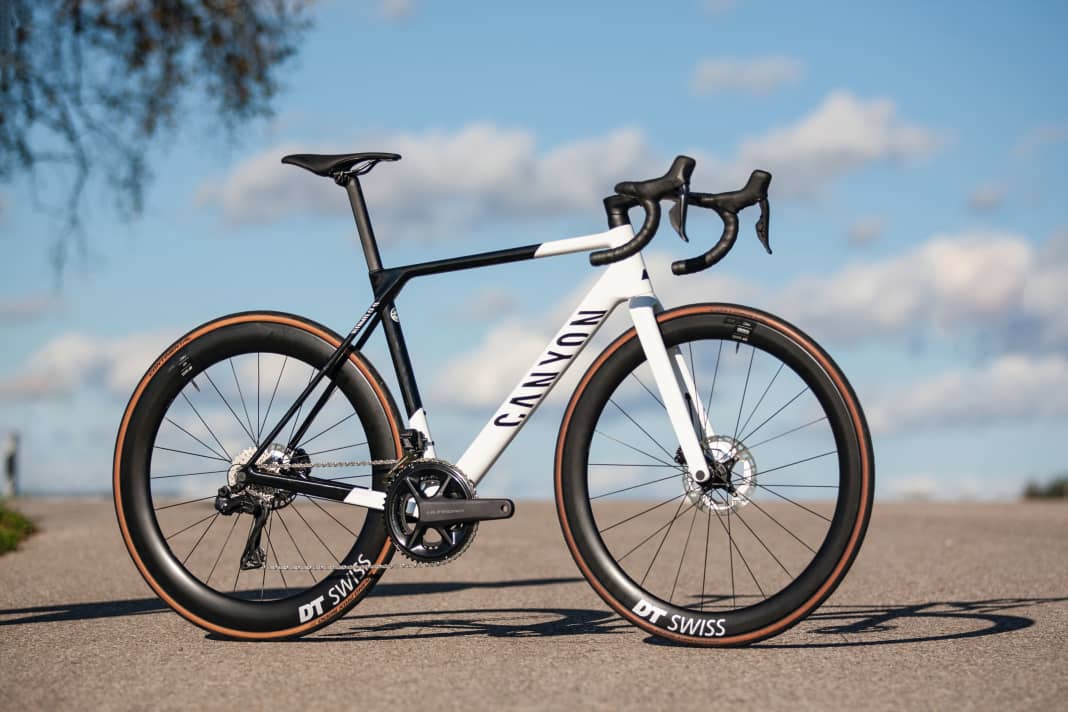 canyon sender pink