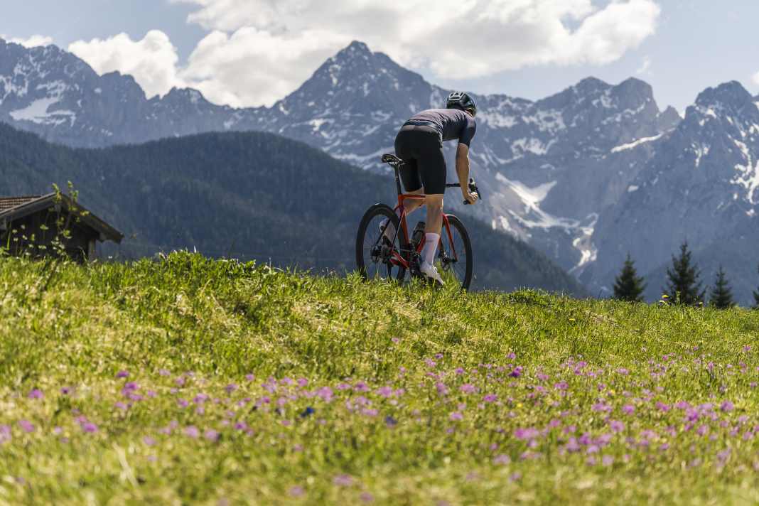 Contrôle de printemps des freins