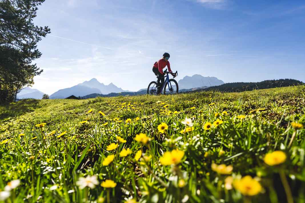 Springtime atmosphere humpback meadows between Mittenwald and Krün
