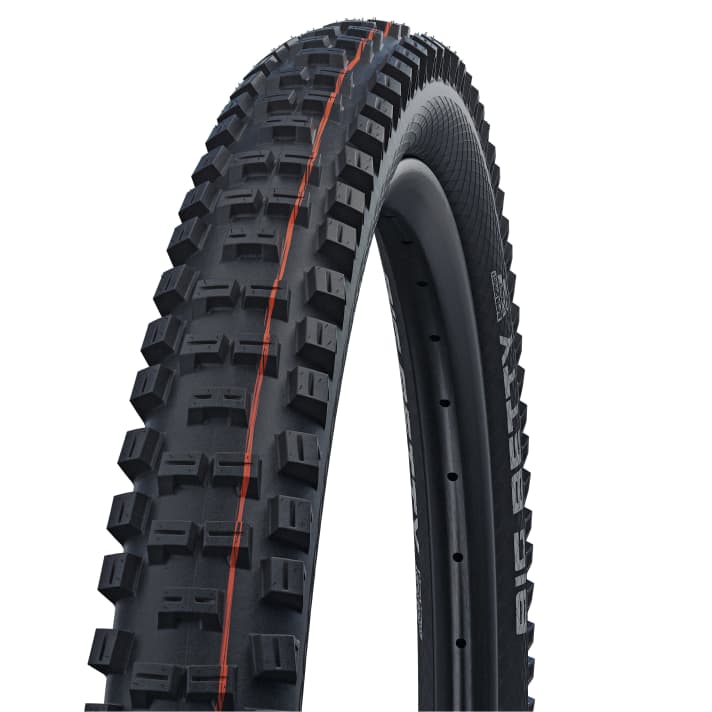   <a href="https://www.awin1.com/cread.php?awinmid=11768&awinaffid=471469&clickref=B+Swallow+Betty&ued=https%3A%2F%2Fwww.rosebikes.de%2Fsearch%3Fq%3DSchwalbe%2BBetty" target="_blank" rel="noopener noreferrer nofollow">Swallow Betty</a> *