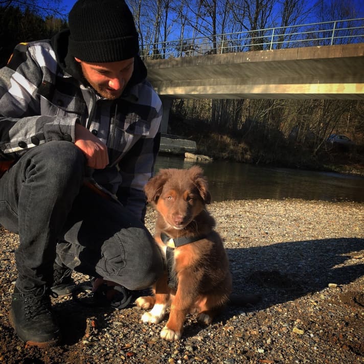 Balu kam mit 13 Wochen zu seinem Herrchen Oli. Mit dem Biken hat Oli aber erst begonnen, als der Hund ausgewachsen war. Also zirka mit einem Jahr.