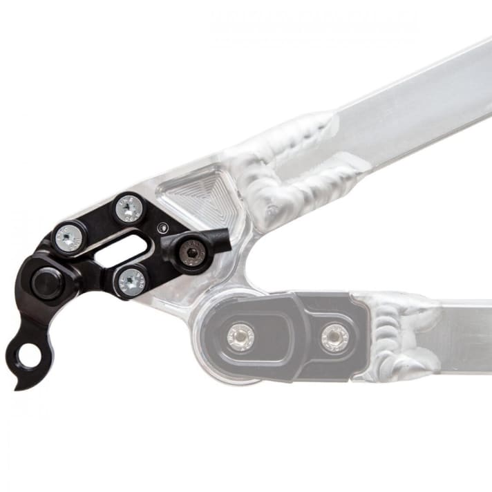   Nicolai can adjust the toe and camber of the rear wheel using different dropouts. The bike should ride perfectly straight.