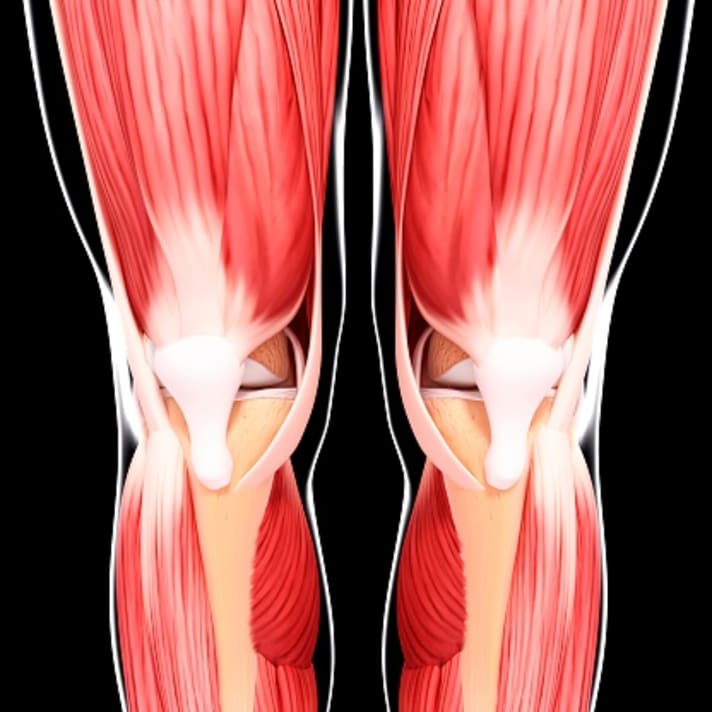 Many mountain bikers underestimate the strength of their muscles and train too one-sidedly. This can lead to knee problems.