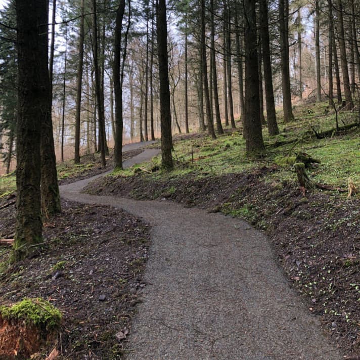In total, the major Green Trails project comprises 200 kilometres of trails and 200 kilometres of connecting trails for mountain bikers.