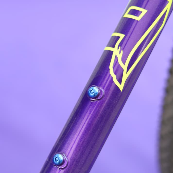 Hearts under the bottle cage mounts? Leovelo realises details like these together with customers in its frame building courses.