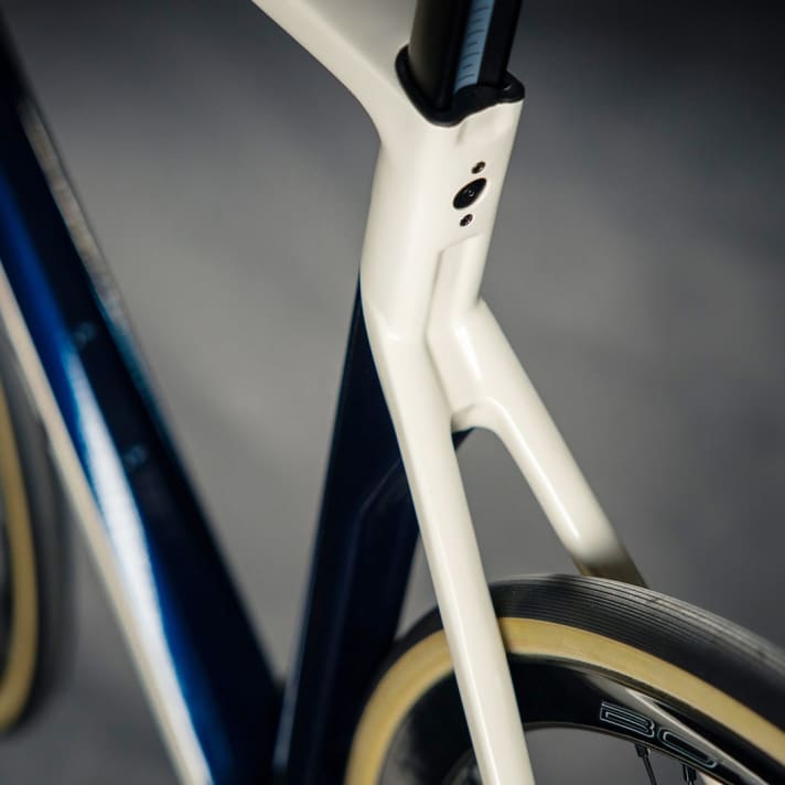 Basso Diamante SV 2021