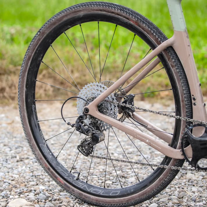 Campagnolo Levante