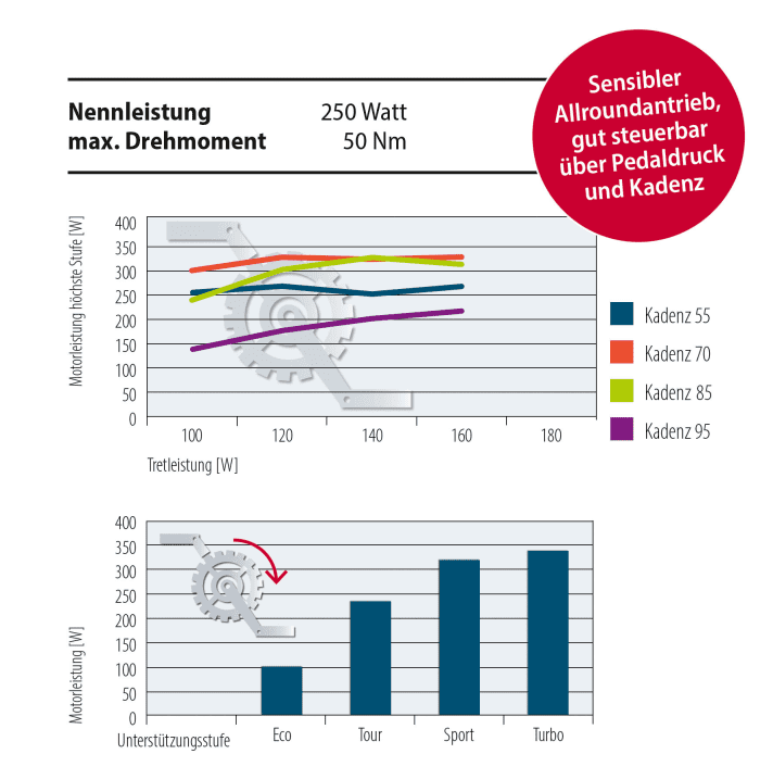 Nennleistung-Drehmoment-E-Bike-Diagramm