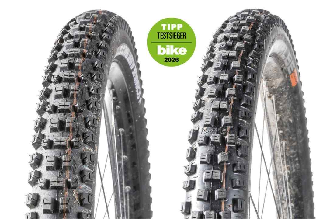 Schwalbe Albert/Nobby Nic