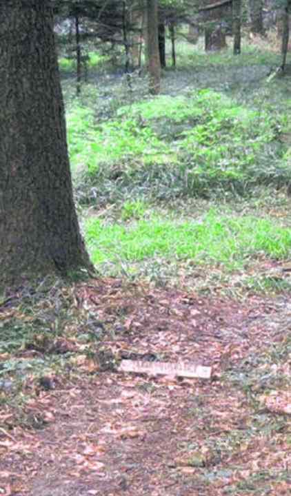 Hard to see - the nail board not only destroys tyres but, with a bit of bad luck, becomes a life-threatening trap