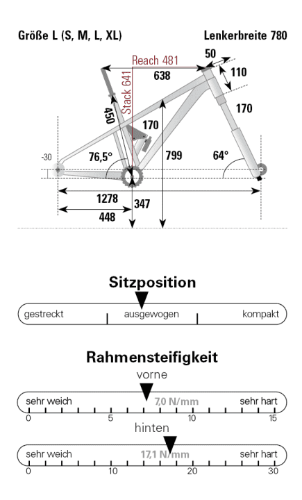 Geometrie Forestal Siryon