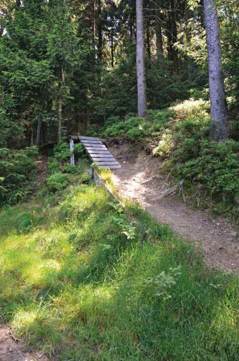   Richtig: Rollen oder Springen – beides möglich (Hahnenklee).