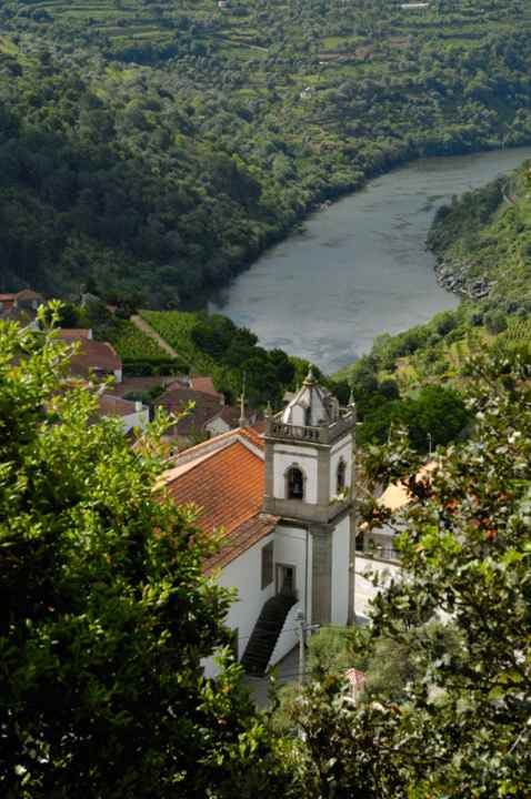   Des parcours plats ? Dans les collines où serpente le Rio Douro, il n'y a que des montées et des descentes. 
