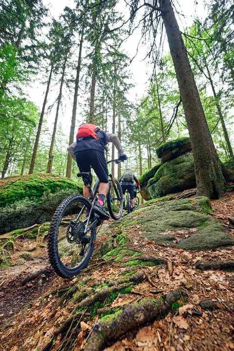 "If we include the remote trails, there is still plenty of room here for mountain bikers with and without E.", Peter Hanke is certain.