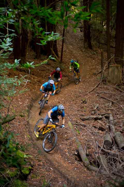 In rank and file: on the "Braille" trail in the demo forest.