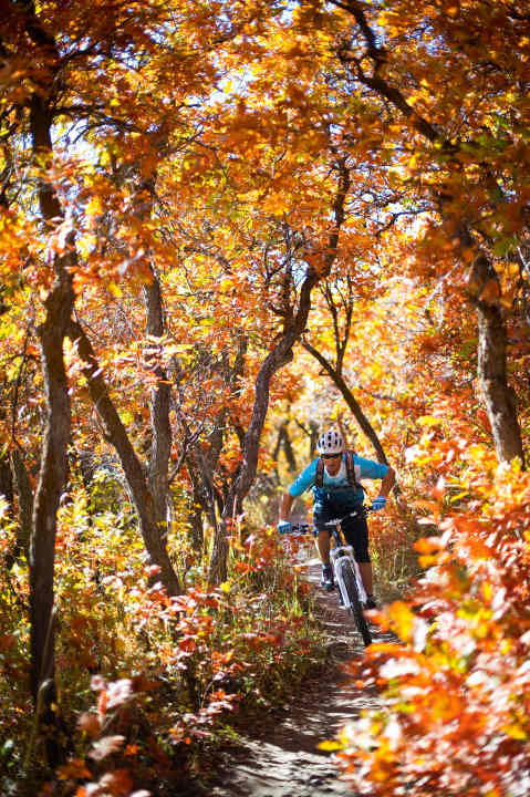   In autumn and even in our winters, the weather sometimes has all the seasons in one day.  