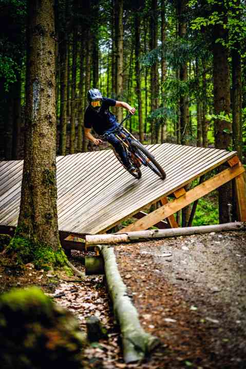 The Schienerberg Bike Park