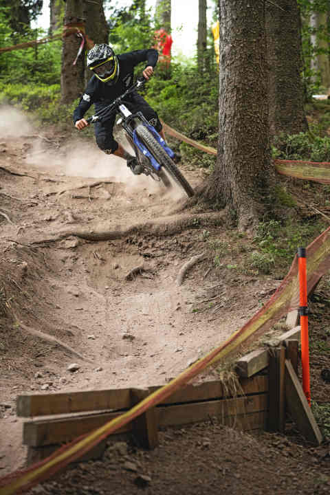 Die Spur mit dem Baum als Anlieger ist nicht offensichtlich, umgeht im Vorfeld einige Wurzeln und rollt entspannter ab. Das spart Kraft.