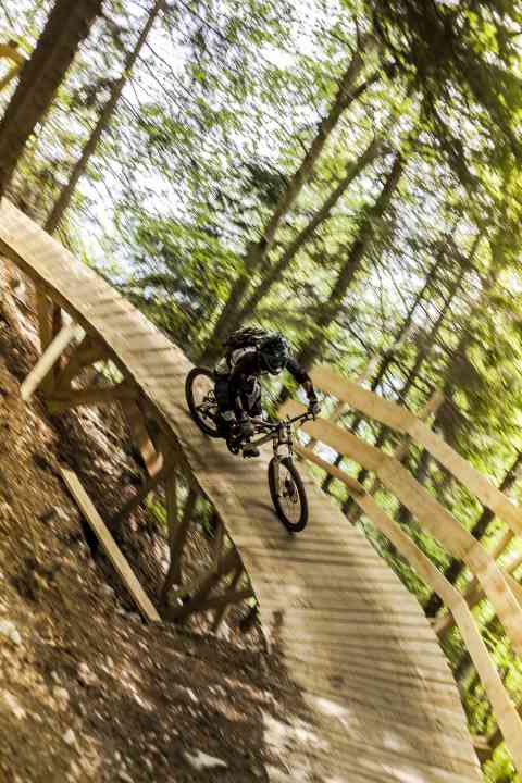  In den letzten Jahren hat sich im Bikepark Paganella eine Menge getan: neue Strecken, spannende Features – jetzt lohnt sich der Besuch wirklich!