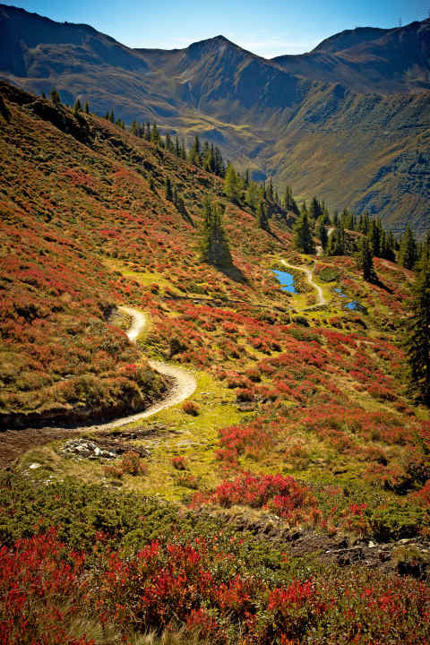   Saalbach: Hacklberg-Trail