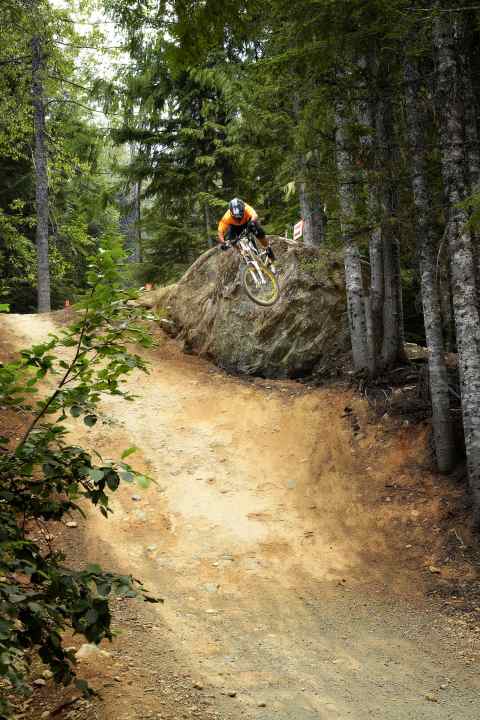   Whistler: Dirt Merchant