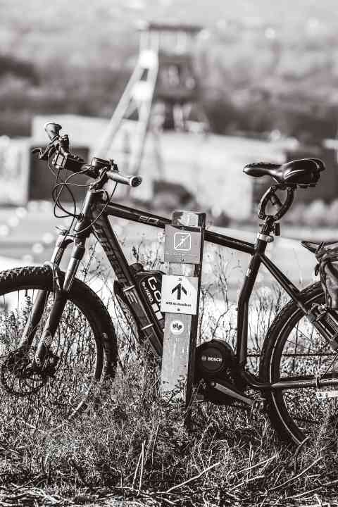   Deutschland: E-Mountainbiken im Ruhrgebiet mit Holger Meyer