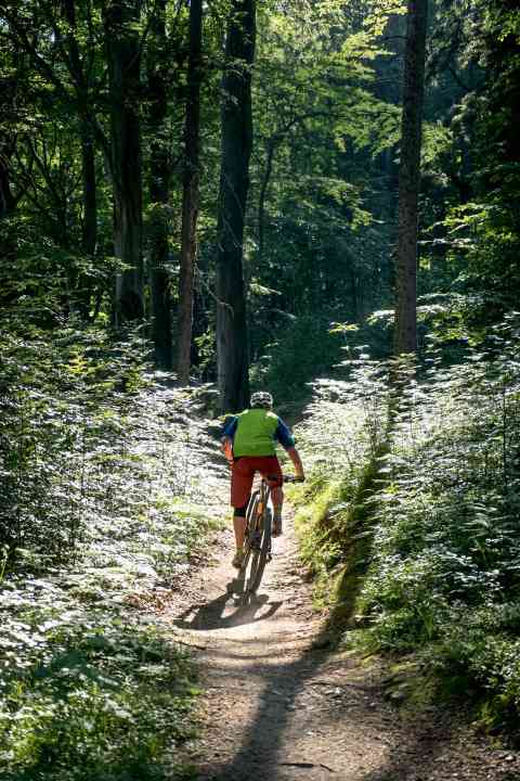   The mountain slopes around Pod Smrkem were groomed to counteract the economic gloom in the region. Today, 50,000 bikers make the pilgrimage to the Czech border region every year. A small economic miracle.