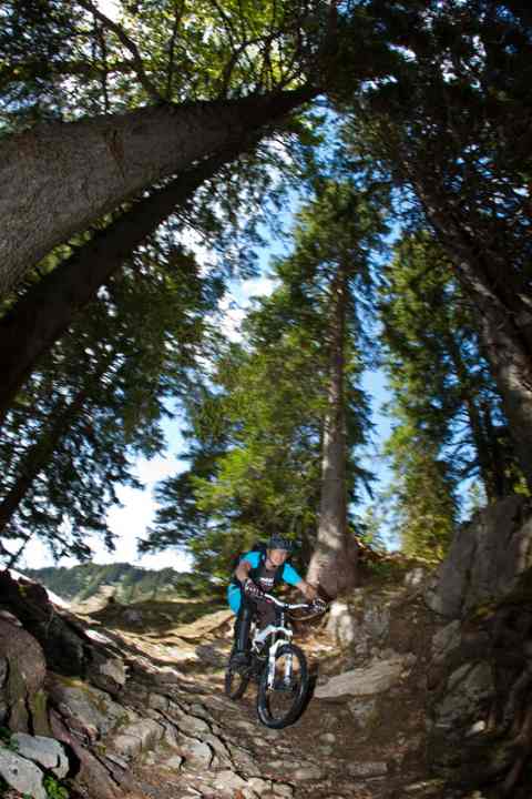   Hier hat die Sonne die Winterreste schon im Mai vertrieben.