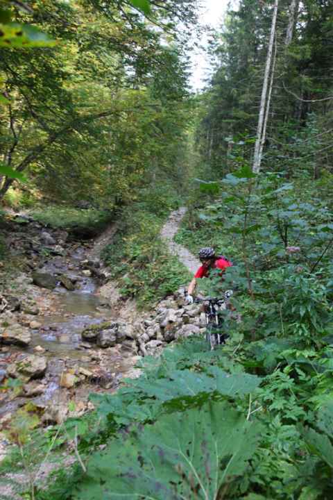   The first stumbling blocks along the stream. Depending on the water level and humidity, it can be slippery.