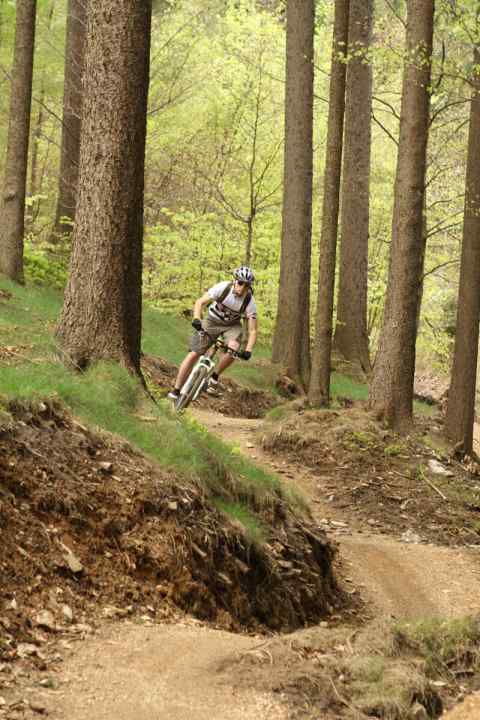   With maximum flow over the carpet of pine needles.