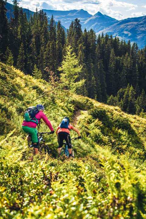   Mitten in der Natur: der Bergstaddtrail.