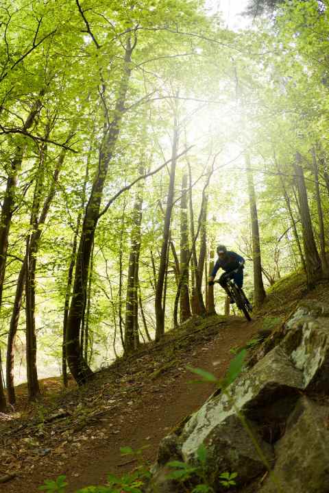   Der Anaconda-Trail ist einer der neueren Gardasee-Trails.