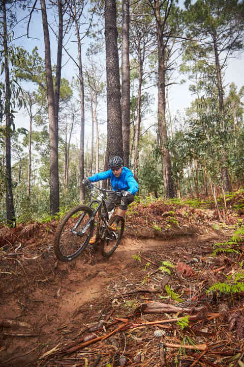   The YT Jeffsy in its element: trail surfing.