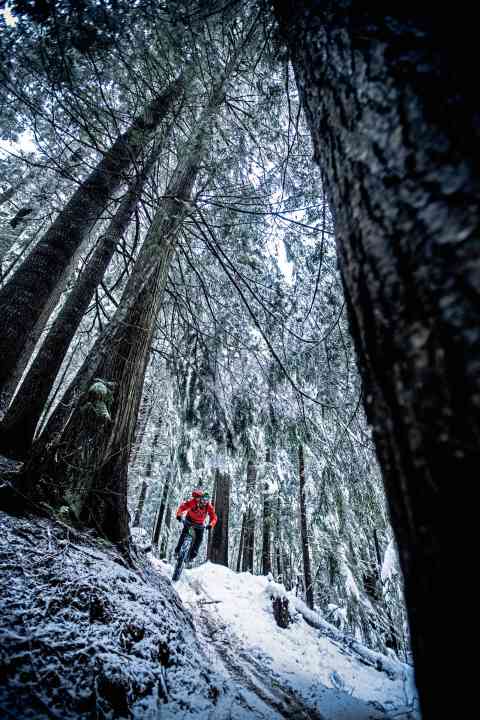   Wintertraining, um für den Sommer fit zu sein...