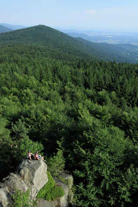   Platz an der Sonne: wenn Mountainbiker aus dem grünen Meer am Hirschenstein auftauchen...