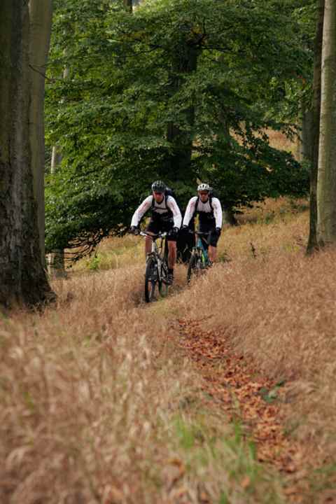   "Metal Mountain" tour: The MTB trails lead to the edge where the Ore Mountains suddenly break off into the Bohemian Basin.