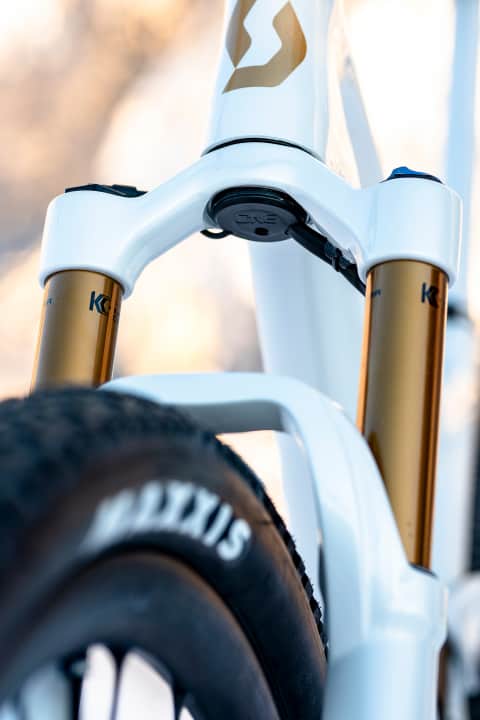   The only visible cables exit under the steerer tube.