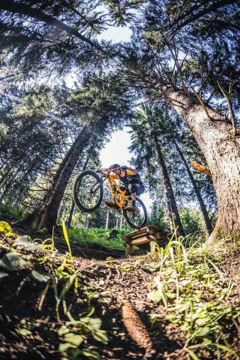   Northshore feeling like in Canada - small wooden drops await you on the Forest Thunder, but they are also easier to navigate around.