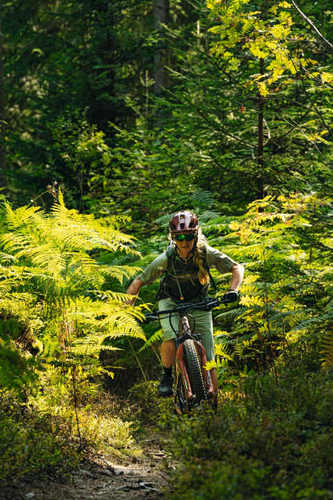   Dream tour for single trail fans:: With a trail share of 33 per cent, the Hirschkopf Trail Tour is a guarantee for an intense flow experience. And this tour is not short of panoramic spots either.