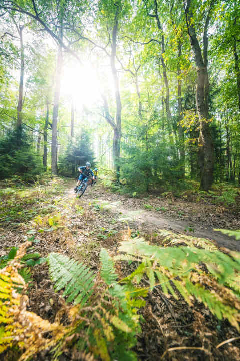   Gold-rush atmosphere: in Saarland, miners once trudged along paths in the forest to get to the coal mines. Today, the kilometre-long nature trails are used for biking - a legal trail paradise in Germany.