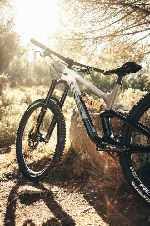   Das Signature-Modell des Canyon Torque CF von Fabio Wibmer bietet Canyon für 5799 Euro an.