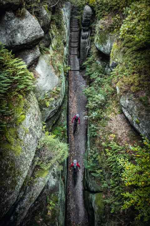 A special trail experience even awaits on the Oybin rock: the Burggraben gorge trail.