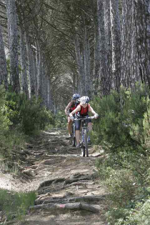 Uphill over pleasant gravel tracks, but downhill it can be a little more challenging: there's hardly a path that Silvia hasn't tried.