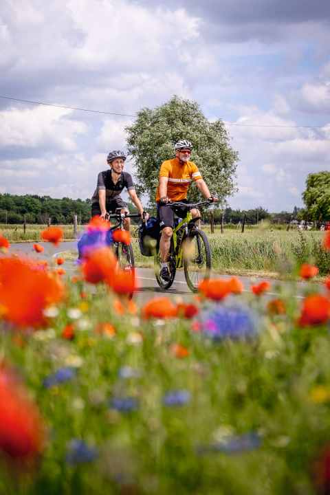 Relaxed cycling in the province of Hainaut