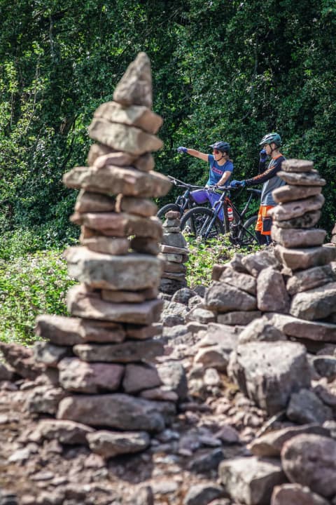 Im Eberbacher Forst leben sich noch andere Künstler aus.