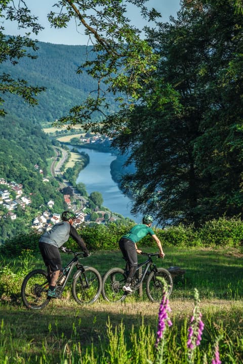 Wenn man eine Brotzeit dabei hat, dann wäre hier der perfekte Platz dazu: Die Aussicht vom Itterberg auf Eberbach und Neckar.