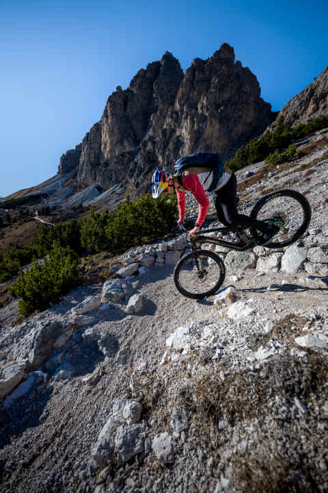 Brake, tail up!