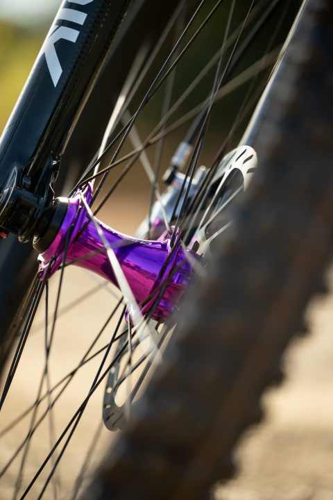 Die Chris King Naben sind ein Schmuckstück für jedes Bike und zieren auch den neuen MTN 30 AL Laufradsatz.