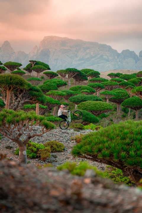 Manualises where no one else has manualised and probably never will again: Elias Schwärzler.