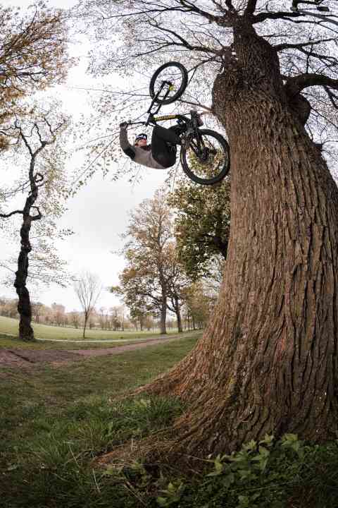 Dieser Stunt machte den unbekannten Bike-Mechaniker 2009 weltberühmt. Ein Flair am Baum im Stadtpark. Hier rollt Danny erneut am Baumstamm hoch.